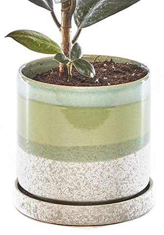 Chive Grand Pot de Fleurs et Plantes Grasses en céramique de 12,7 cm avec Trou de Drainage et Soucoupe Amovible, idéal pour la décoration de Jardin intérieur/extérieur (Ciment Vert)