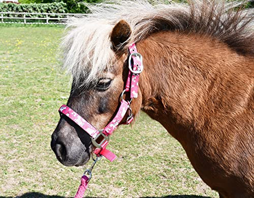 Rhinegold Einhorn-Halfter und Seil-Set – Shetland – Rasp, Himbeere