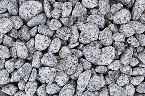 Gartenwelt Riegelsberger 5 kg Gletscher Kies Royal gewaschen Körnung 15-25 mm Marmorkies Granit Royal Marmor Kieselsteine Zierkies Steine Deko Garten