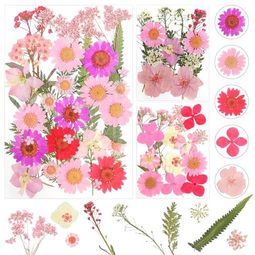 Dog's Booty Gepresste Blumen Getrocknete Blumen Trockenblumen zum Basteln Trockenblumen Klein Getrocknete Blumen Deko für DIY Scrapbooking Kunsthandwerk Schmuck Dekorationen(Rosa), BUI-hg599