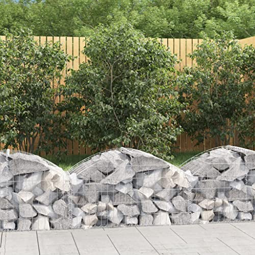 prissent Panier de Gabion à arc 100 x 50 x 40 / 60 cm Gabions Métalliques Gabion Pour Pierres Pratique Panier De Gabions Barrière De Jardin Clôtures Décoratives Fer Galvanisé