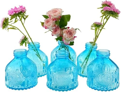 MEETOZ Juego de 6 jarrones de cristal, mini botellas vintage, para el hogar, boda, fiesta, evento, oficina, pequeño jarrón de cristal moderno, arreglos florales (azul)
