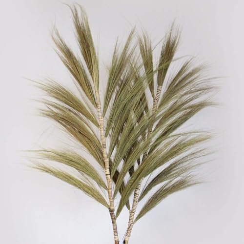 LINE NATURA Palmera Natural de Rayung - 2m