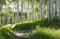 BIRKENWALD Fototapete VLIES-450x280 cm (043A)-Natur Landschaft Herbst Birken Bäume See Wald Wandtapete-Inkl. Kleister-Vliestapete Bild Dekoration Wand-Dekor Moderne Motiv-Tapete Panorama Poster XXL