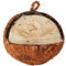 Walter Harrison's High Energy Whole Coconut Suet Wildvogel Nutritious Hanging Garden Bird Feeder Mehlwurmgeschmack
