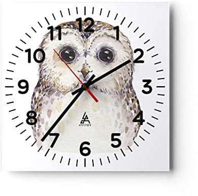 Modern Wanduhr Eule Waldkauz Grafik 40x40cm Quadrat Groß Wand Uhr Glas Analog Zimmeruhren Küche Büro Wohnzimmer Glasuhr Wall Clock Dekoration Design Wanddekoration Küchenuhr C4AC40x40-4229