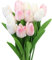 Tulipani Artificiali, 12 Pezzi Fiori Finti di Tulipani, Artificiale Tulipani in Lattice per Matrimonio, Festa, Composizioni Floreali, Bouquet da Sposa (Bianco & rosa)