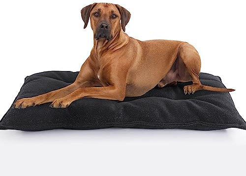 MABOZOO Unzerstörbares Hundebett, kaufeste Kistenunterlage, langlebig, für Aggressive Kauer, waschbare Hundematte, XL, 71,1 x 104,1 cm, Schwarz