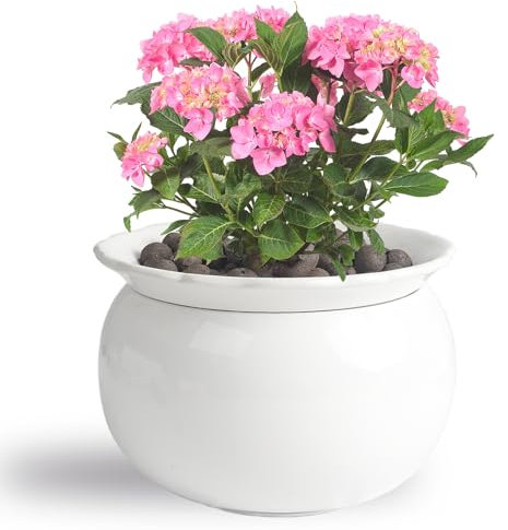 BUYMAX Afrikanische Veilchen-Töpfe, 15,2 cm, Keramik, einfach selbstbewässernder Blumentopf für vielbeschäftigte Pflanzenliebhaber, absorbiert automatisch angemessene Menge Wasser, Blumentopf für