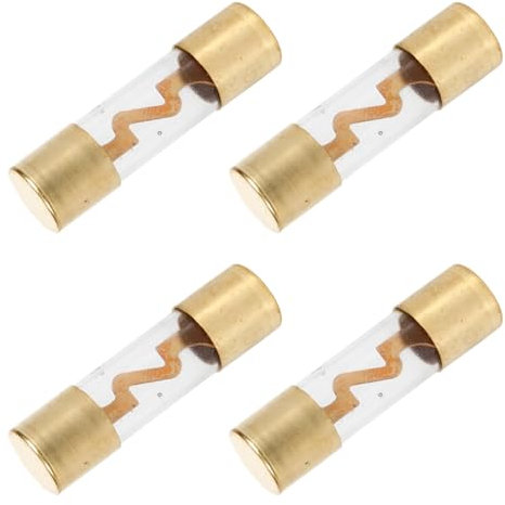 4 Stück Glassicherungen für Audio/Video Anlage für Auto, LKW, Wohnmobil 20A/30A/40A/50A/60A/80A, Ø 10mm x L 3,8cm (40A)