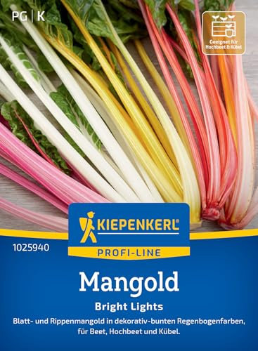Kiepenkerl Profi-Line Mangoldsamen Bright Lights 1025940 - Bunte Mangold Gemüsesamen, dekorativ-bunte Regenbogenfarben, Perfekt für Beet, Hochbeet und Kübel