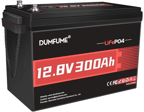 Dumfume 12V 300Ah Batteria al Litio LiFePO4-15.000 Cicli Profondi, BMS 200A, 3840W Per Accumulo Solare, Alimentazione di Emergenza, Camper, Campeggio & Applicazioni Off-Grid