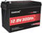 Dumfume 12V 300Ah LiFePO4 Lithium Batterie 3840Wh 200A BMS, Max 15000 Tiefzyklen und 10 Jahre Lebensdauer Akku für Solarenergie, Wohnmobil, Camping