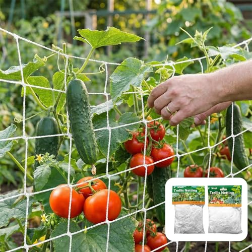 JININOSEU 2 Stück Ranknetz für Kletterpflanzen, Rankhilfe Gurken 1,67 x 5 m und 1,67 x 10 m für Tomaten Garten und Gewächshaus