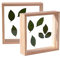 C&Z 2Pcs 5x5 Holz-Bilderrahmen, doppelseitig, Acryl, Herbarium, Pflanzen, Probe-Rahmen für gepresste Blumen, getrocknete Blätter, Tische, Wanddekoration