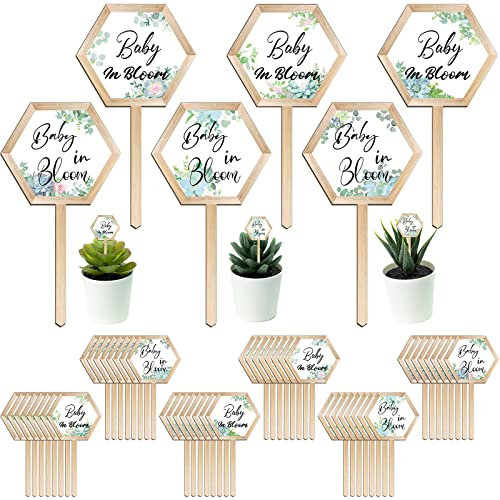 Pflanzenstecker Baby in Bloom, für Babypartys, Pflanzenstecker aus Holz, für Sukkulenten, Topfblumen, 48 Stück