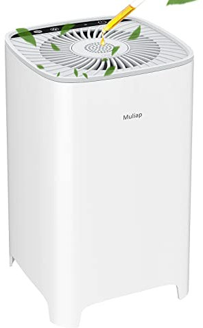 Muliap Air Purifiers for Home Bedroom with H13 Hepa Filter,Ultra Quiet Desktop Portable Air Purifier,for Dust,Odor,Pet Dander,Smoke,With Aromatherapy,White (SY901)