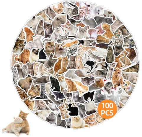 100 Stück Katzen Sticker, Cartoon Katzen Aufkleber Set, Lustiges süße Meme Cat Sticker Set, Wasserfeste Vinyl Tiere Aufkleber Deko für Skateboard Laptop Motorrad Telefon Wasserflaschen Gepäck