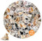 100 Stück Katzen Sticker, Cartoon Katzen Aufkleber Set, Lustiges süße Meme Cat Sticker Set, Wasserfeste Vinyl Tiere Aufkleber Deko für Skateboard Laptop Motorrad Telefon Wasserflaschen Gepäck