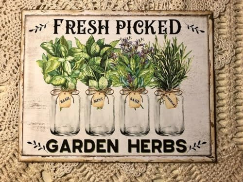 Herb Fresh Picked Garden Herbs Mason Ball Jars Farmhouse Retro Metal Tin Sign Vintage Sign for Home Kitchen Coffee Shop Wall Decor 8x12 Inch