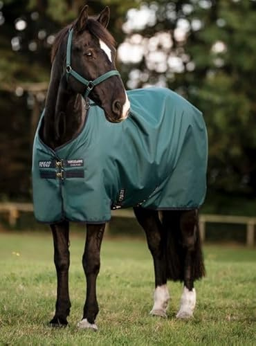 Horseware Amigo Ripstop 900D Lite 0g Turnout Decke Dynasty Green/Navy & Silver :