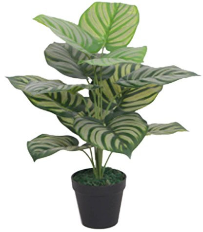 Leaf Design UK Realistic Artificial Foliage Plant with Pot, Stripe, 60cm
