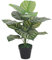 Leaf Design UK Realistic Artificial Foliage Plant with Pot, Stripe, 60cm