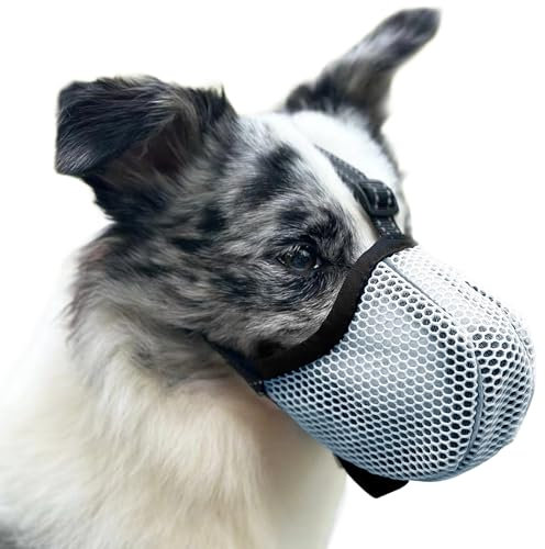 Maulkorb für Große Hunde - Prevent Kauen/Fressen/Beißen, Atmungsaktiv Reflektierende Einstellbare für Mittlere Hunde (Blau, L)