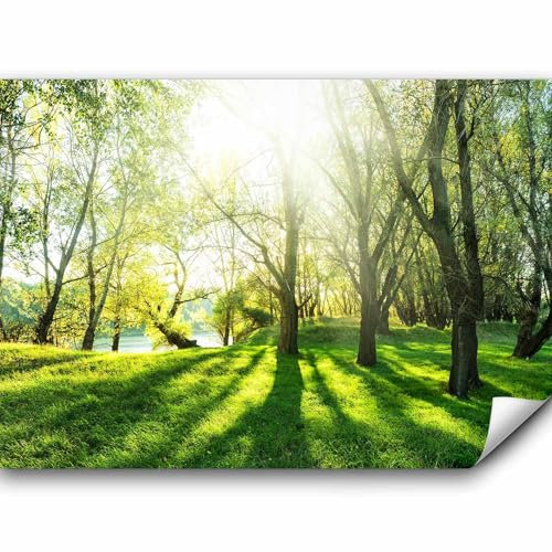 murando - Papier peint panoramique paysage 400x280 cm - Revêtement mural décoration salon - Design moderne - Blanc vert beige - Lueur des arbres forêt nature soleil gazon l'eau c-B-0336-a-a