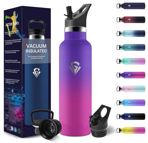 HoneyHolly Gourde Isotherme 500 ML, Gourde INOX avec Paille, Bouteille d'eau sans BPA, Réutilisable, Anti-Fuite, Isolation sous Vide en Acier Inoxydable à Double Paroi, pour Enfants, Adultes, Sport