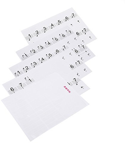 Dilwe Desmontable 88 Teclas Piano Electrónico Teclado Nota Llaves Blancas Pegatinas Etiquetas para Principiantes(Transparente)
