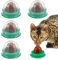 5 Pack Katze Snack Lecken Ball Interaktive Katze Behandelt Katzenminze Isinglass Candy Solide Ernährung Gel Energie Ball (Gelegentliche Geschmack)
