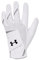Under Armour Boys Full Finger Gloves Boys' Ua Iso-Chill Golf Glove, Wht, 1370273-100, LYSM