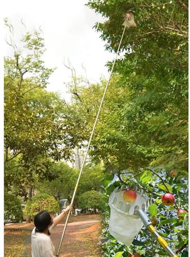 raccogli asparagi pinza frutta Raccoglitore Di Frutta Allungabile Attrezzo 7 M 10 M, Albero Da Frutta In Acciaio Inox Raccoglitore Di Pali Di Raccolta / Strumenti Di Giardinaggio Per La Raccolta Di Li