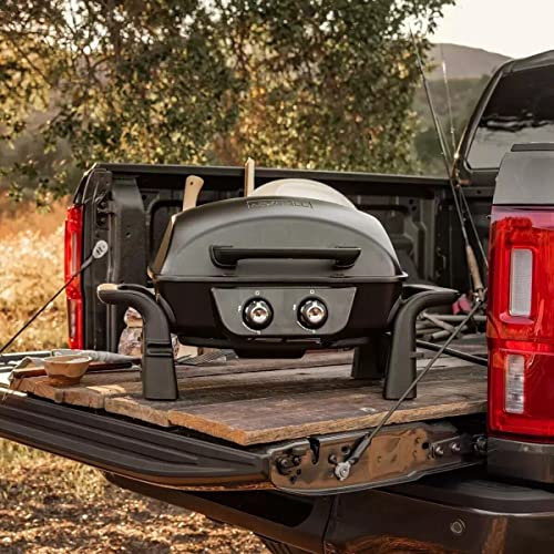 Nexgrill 2 Burner Cast Aluminium 19 Gas Table Top Grill BBQ