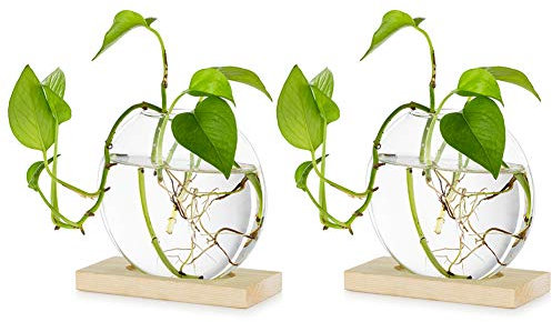 Tischplatte hängen Glas Pflanzer Pcs von 2 Vermehrungsstation Moderne Blumenknospe Vase in Holz Stehen für Hydroponik Pflanzen Stecklinge Büro Home Decoration