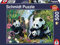 Schmidt Spiele 57380 Pandafamilie am Wasserfall, 500 Teile Puzzle