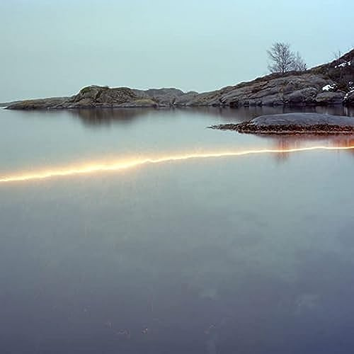 The Ramble (Morning & Night)