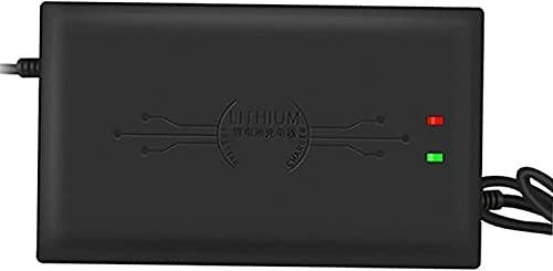 Chargeur de batterie au lithium de chargeur de scooter électrique de sortie 67.2V for la batterie 60V 2A / 3A / 5A for l'affichage à LED de scooter électrique Sécurité de charge rapide universelle ( C