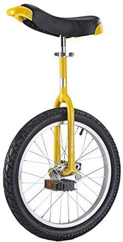 Wheel Trainer Einrad Einrad für Erwachsene 24 Zoll, großes Einrad für Männer/Frauen/große Kinder/Jugendliche, einrädriges Fahrrad mit Stahlrahmen und Leichtmetallfelge, belastbar bis 200 kg (Gel