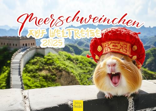 Edition Seidel Premium Kalender Meerschweinchen Auf Weltreise 2025 Format DIN A3 Wandkalender Tierkalender Tiere mit lustigen Sprüchen Humor
