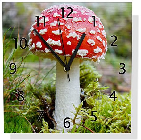 Wallario Design Wanduhr Fliegenpilz im Wald aus Aluverbund, Alu-Uhr Größe 30 x 30 cm, Schwarze Zeiger mit Metalloptik