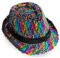 KarnevalsTeufel Trilby Party Hut Discohut Sommerhut Wendepailetten bunt Multicolor Rainbow Verschiedene Designs und Farben (Wendepailetten)