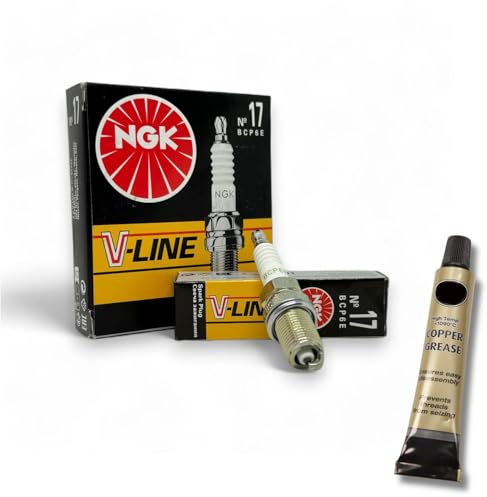 6x Zündkerzen V-Line passt für Mercedes W124 280E 300E 320E Bj 1986-1998 + Kupferfett