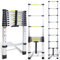 Cecaylie Scala telescopica in alluminio, allungabile, antiscivolo, multifunzionale, portatile, portata massima 150 kg, 2,6 m