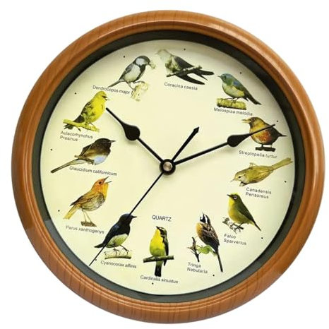 perfk Singende Vogel-Wanduhr, dekorative Uhr, 25,4 cm, Ornamente, leise, kreative Wandbehang-Uhr, Dekor für Schlafzimmer, Wohnzimmer