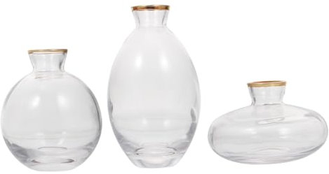 PRETYZOOM 3piezas Jarrón para Flores De Escritorio Jarrón Simple Decoración Hidropónica