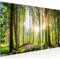 Runa Art Bild Wald Landschaft Wandbilder auf Vlies Leinwand 5 Teilig Wanddekoration Schlafzimmer Wohnzimmer 503856b