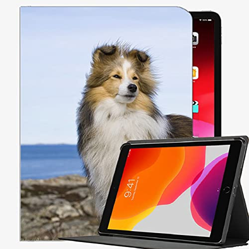 Für iPad Pro 12,9 cm Case 2021 2020 2018, Collie Dog Pet Case Slim Shell Cover für iPad Pro 12,9 Zoll