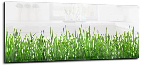 CANVAS FLY 100x40 Wandbild aus Glas, Deko für Küchenrückwand, Wandpaneele Gehärtet, Deko-Glasplatte aus Vorgespanntem Glas | Gras